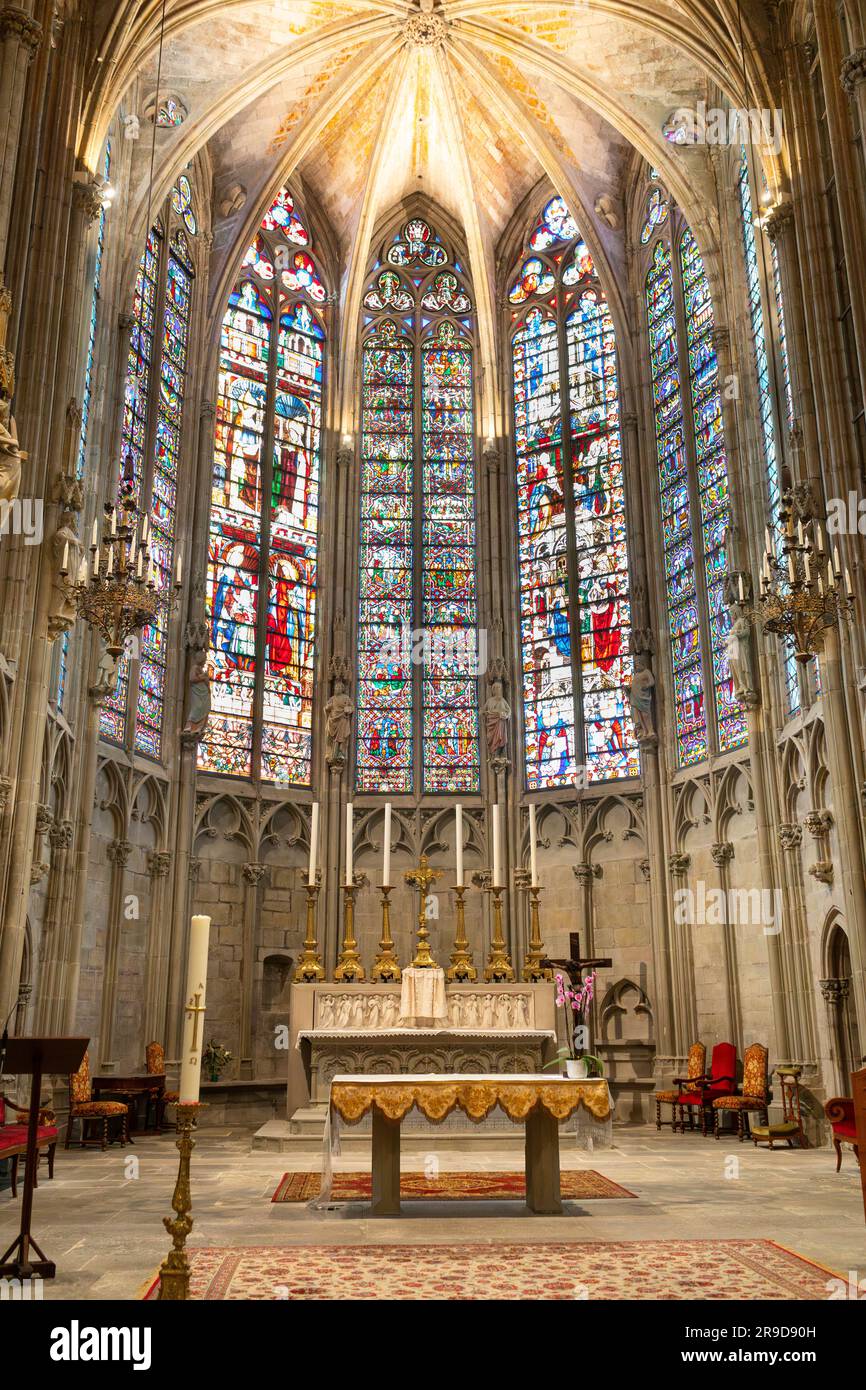 Innenkathedrale Saint Michel in Carcasonne, Frankreich Stockfoto