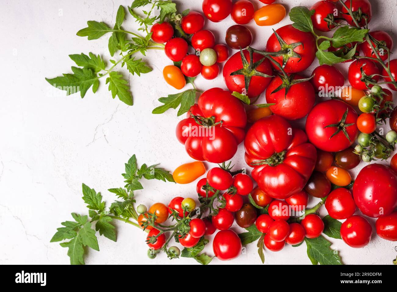 Verschiedene frische Tomaten mit grünen Blättern. Draufsicht Stockfoto