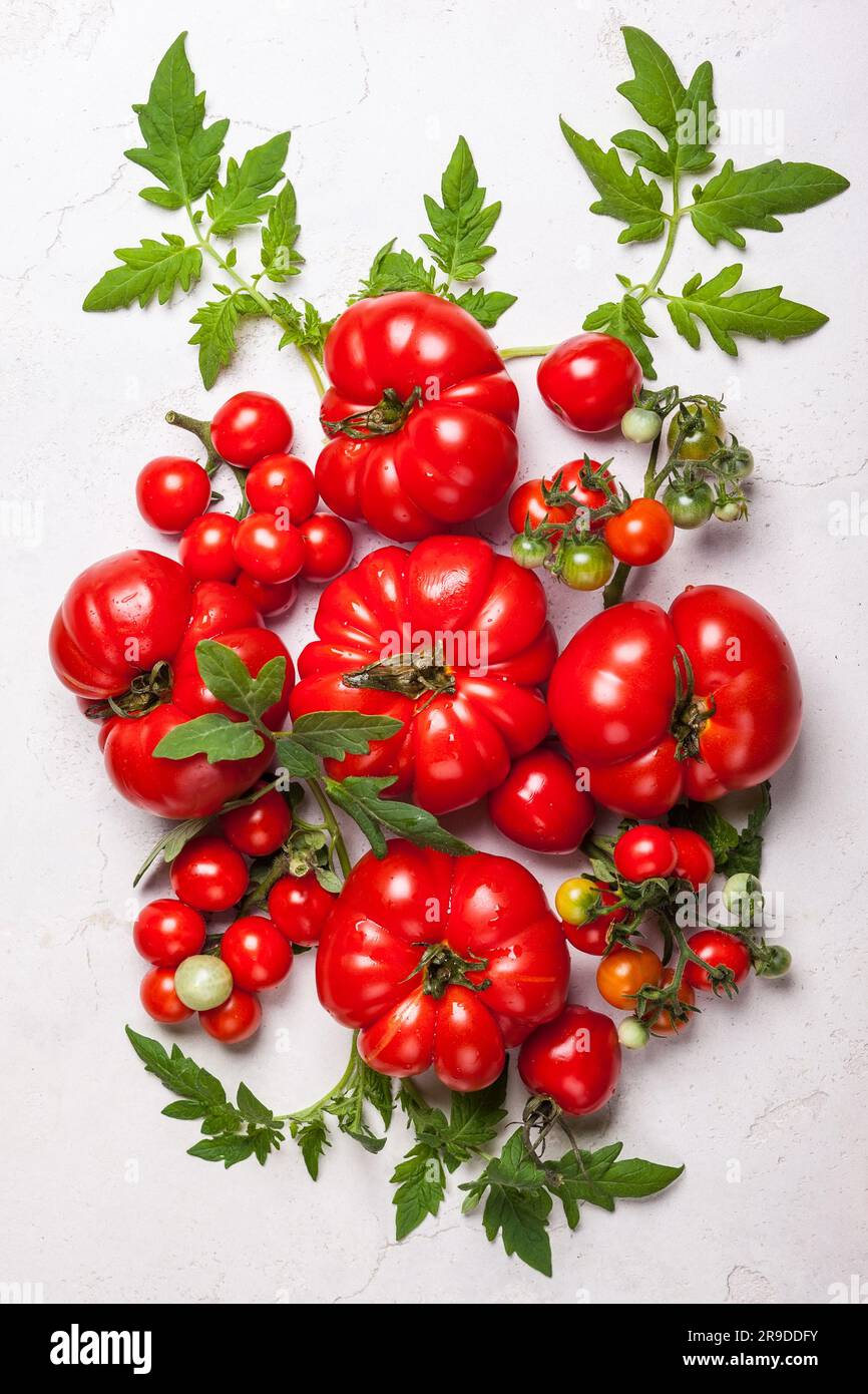 Verschiedene frische Tomaten mit grünen Blättern. Draufsicht Stockfoto