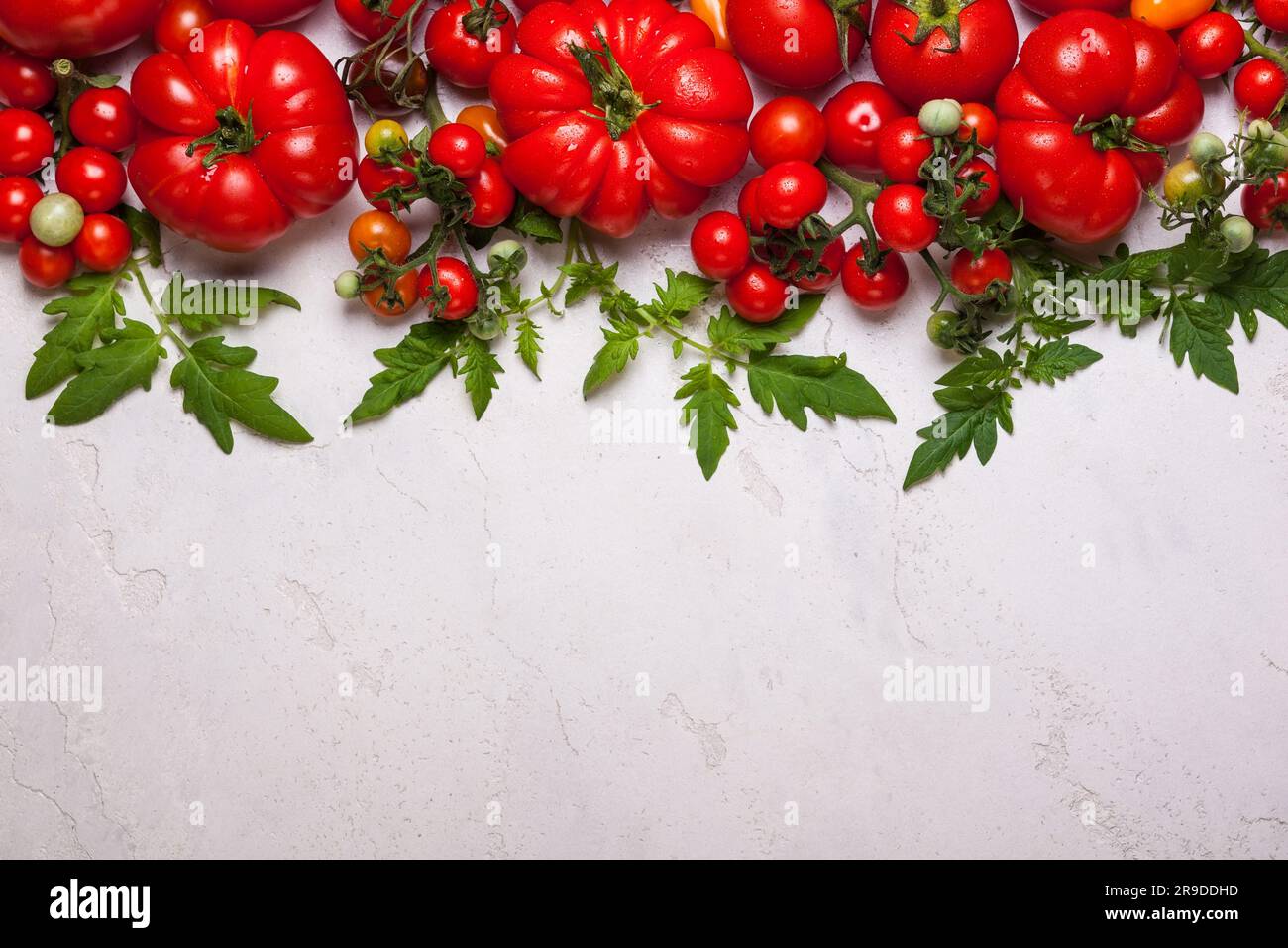 Verschiedene frische Tomaten mit grünen Blättern. Draufsicht Stockfoto