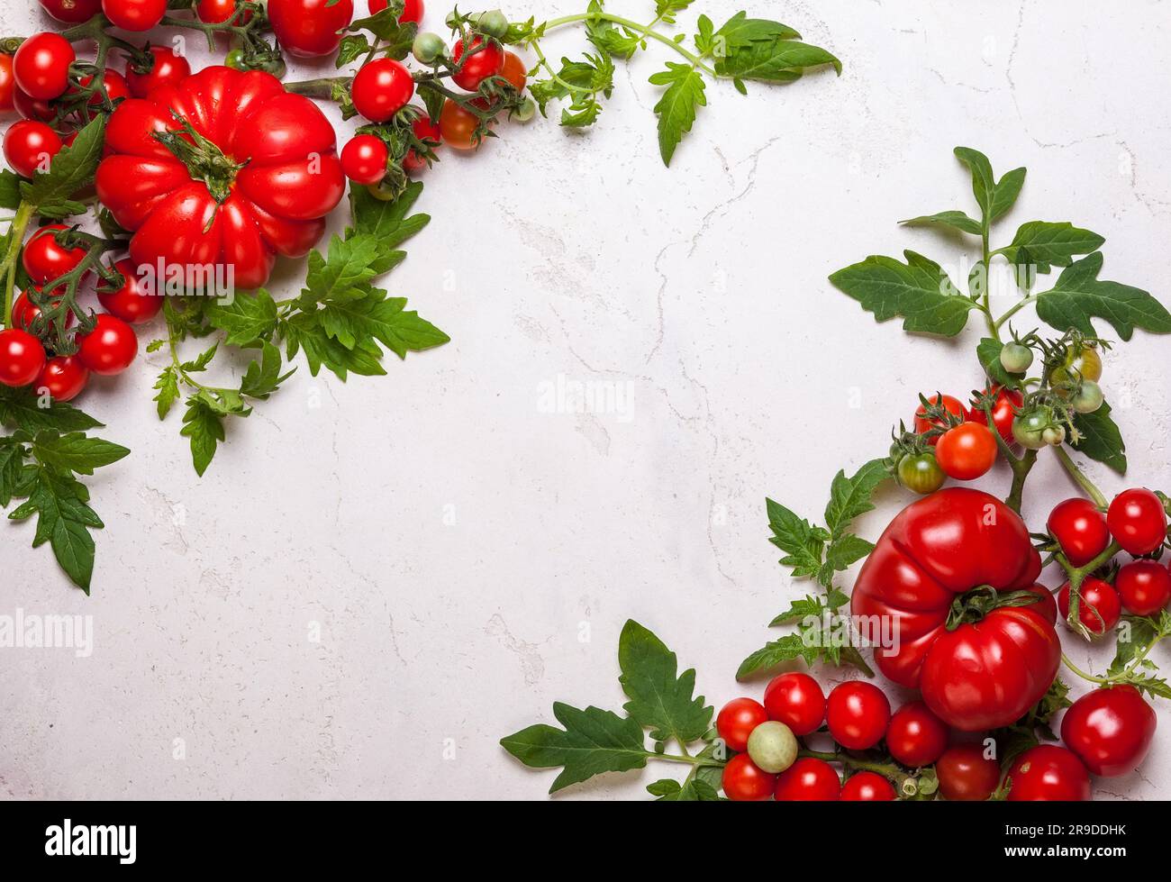 Verschiedene frische Tomaten mit grünen Blättern. Draufsicht Stockfoto