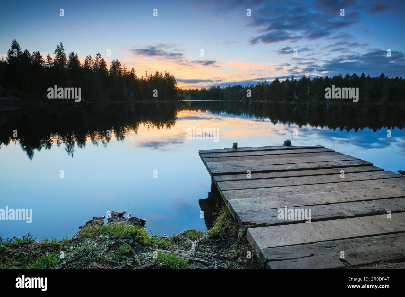 Anlegestelle in der Abenddämmerung am Ufer des Moorlands, See Etang de la Gruere im Kanton Jura, Schweiz Stockfoto