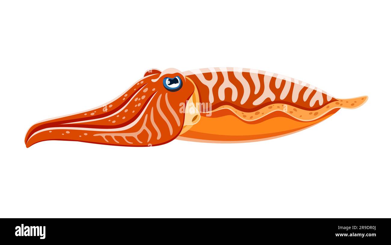 Cartoon-Tintenfisch-Meerestier. Isolierte, intelligente und getarnte Kreatur mit ihrer einzigartigen Fähigkeit, Farbe und Form zu ändern, navigiert durch die Tiefen des Ozeans und zeigt ihr faszinierendes Verhalten Stock Vektor