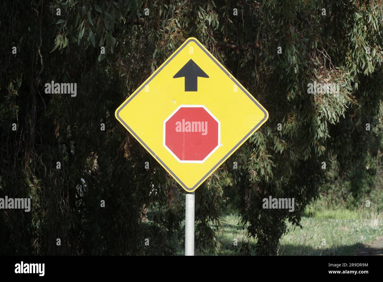 Nahaufnahme eines roten Stoppzeichens und eines schwarzen Pfeils, der in Australien geradeaus zeigt Stockfoto
