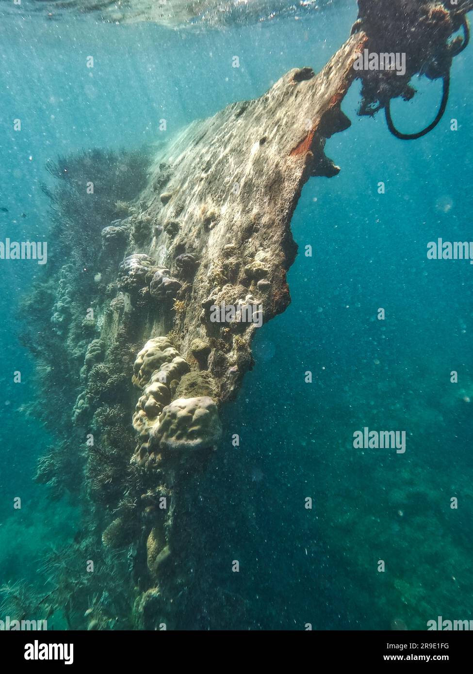 Japanisches Schiffswrack, Coron-Inseln, Palawan, Philippinen, Asien Stockfoto