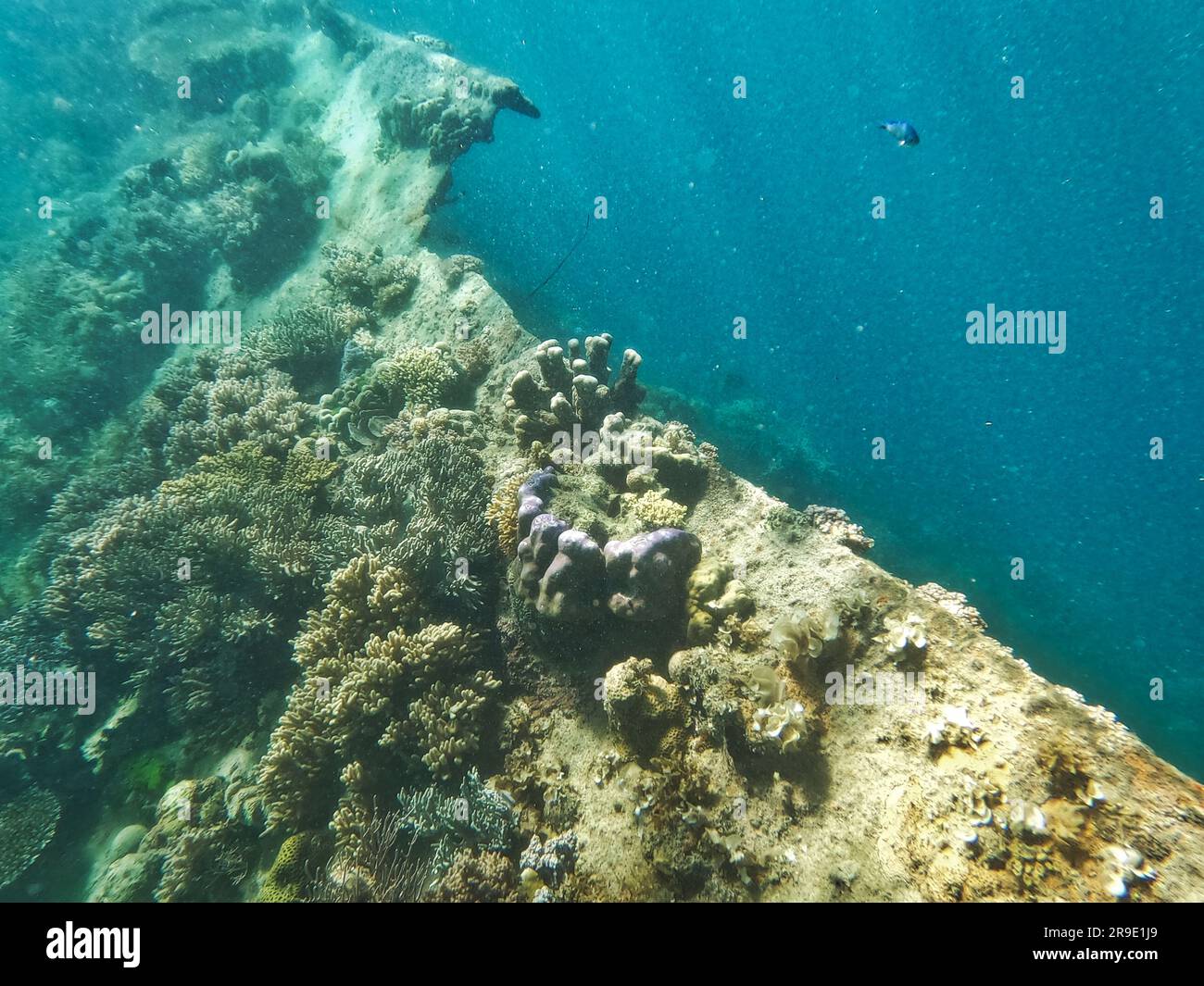 Japanisches Schiffswrack, Coron-Inseln, Palawan, Philippinen, Asien Stockfoto