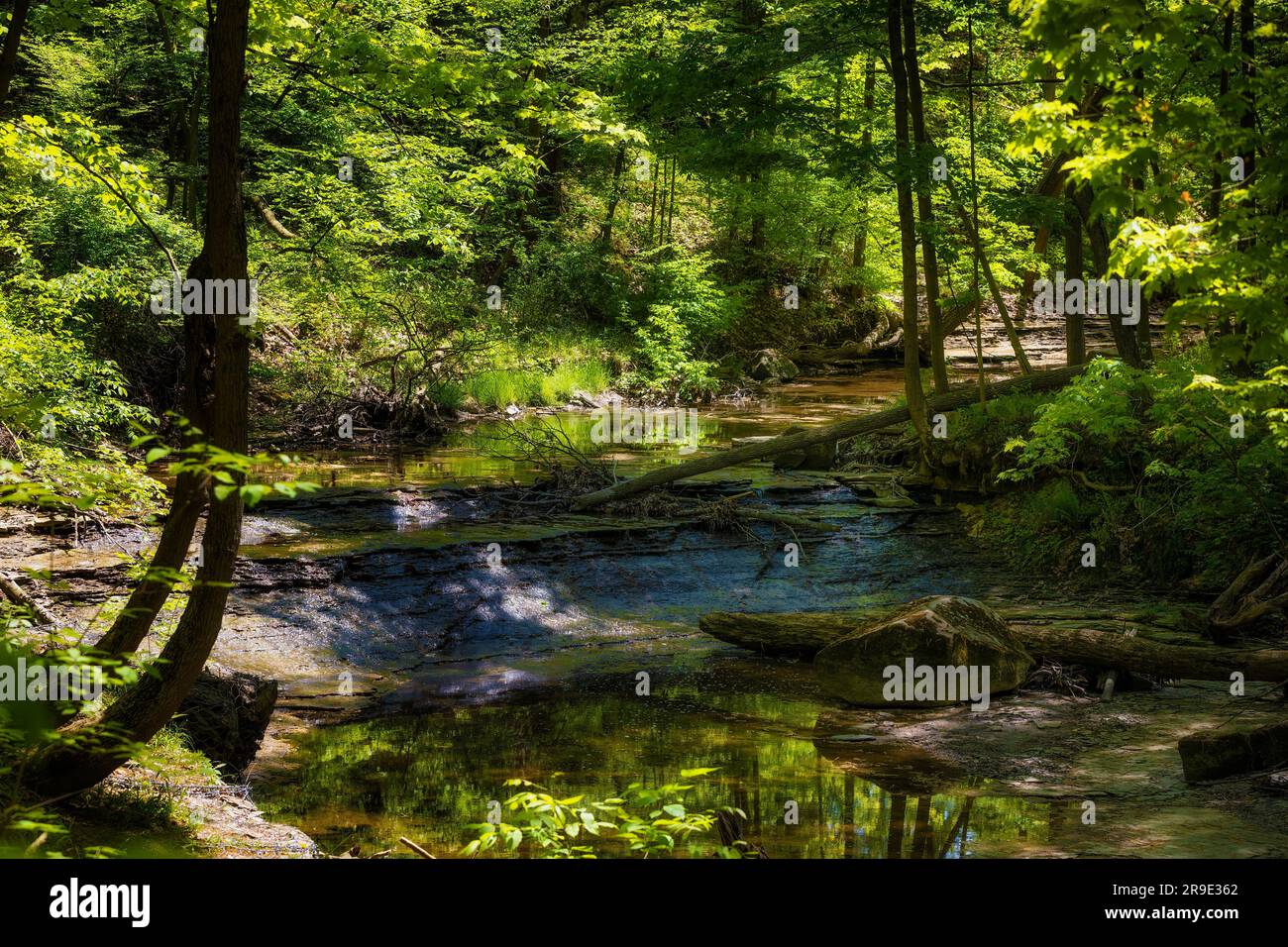 Wandern Sie entlang eines Flusses im Cuyahoga Valley National Park zu den Bridal Veil Falls im Bundesstaat Ohio, USA Stockfoto