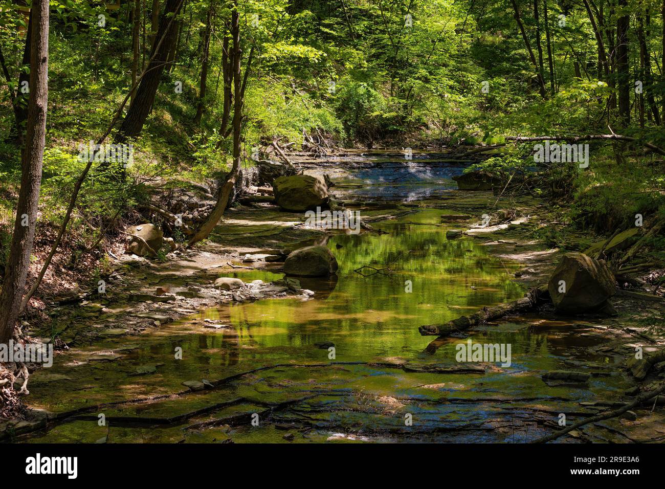 Niedriger Wasserstand im Frühling im Cuyahoga Valley National Park Stockfoto