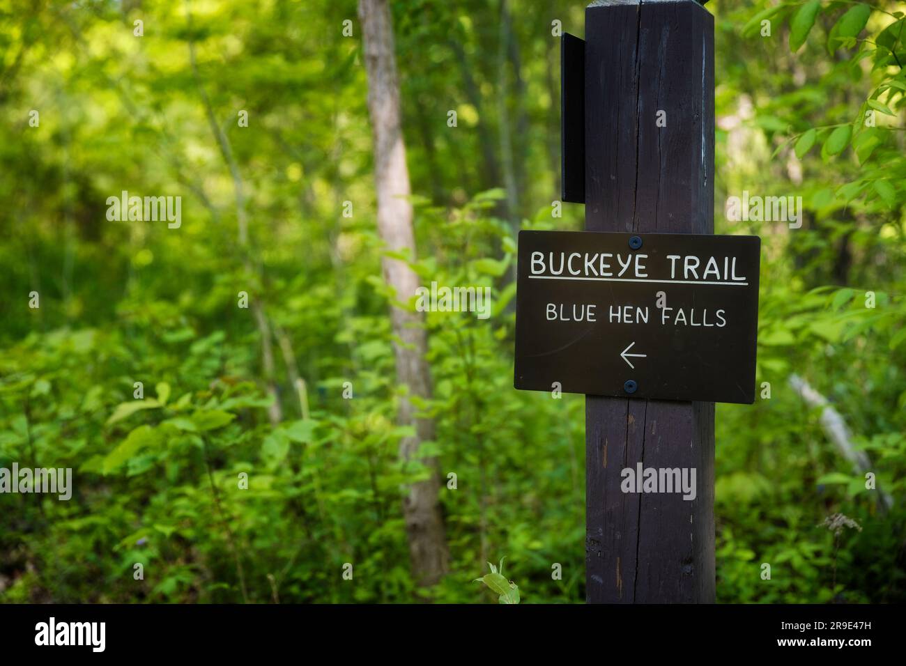 Wandern zu den Blue Hen Falls im Cuyahoga Valley-Nationalpark in Ohio, USA. Stockfoto