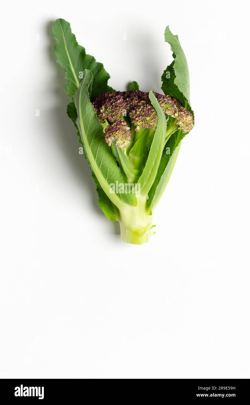 Violetter Blumenkohl mit Blättern auf weißem Hintergrund. Vertikales Format. Stockfoto