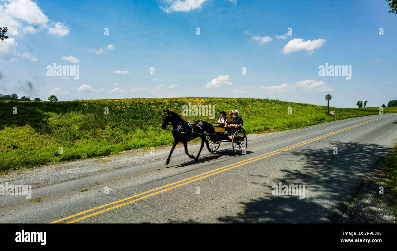 Ronks, Pennsylvania, 22. Mai 2022 - Blick auf ein Amish-Pferd und einen offenen Buggy an einem sonnigen Frühlingstag auf einem Bauernland an der Landstraße durch die Landschaft Stockfoto