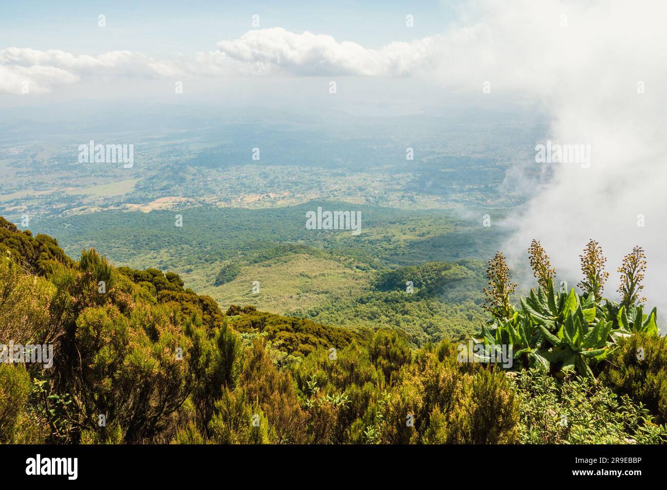 Die Stadt Kisoro im Osten Ugandas aus der Vogelperspektive vom Mount Muhabura im Mgahinga Gorilla Nationalpark, Uganda Stockfoto