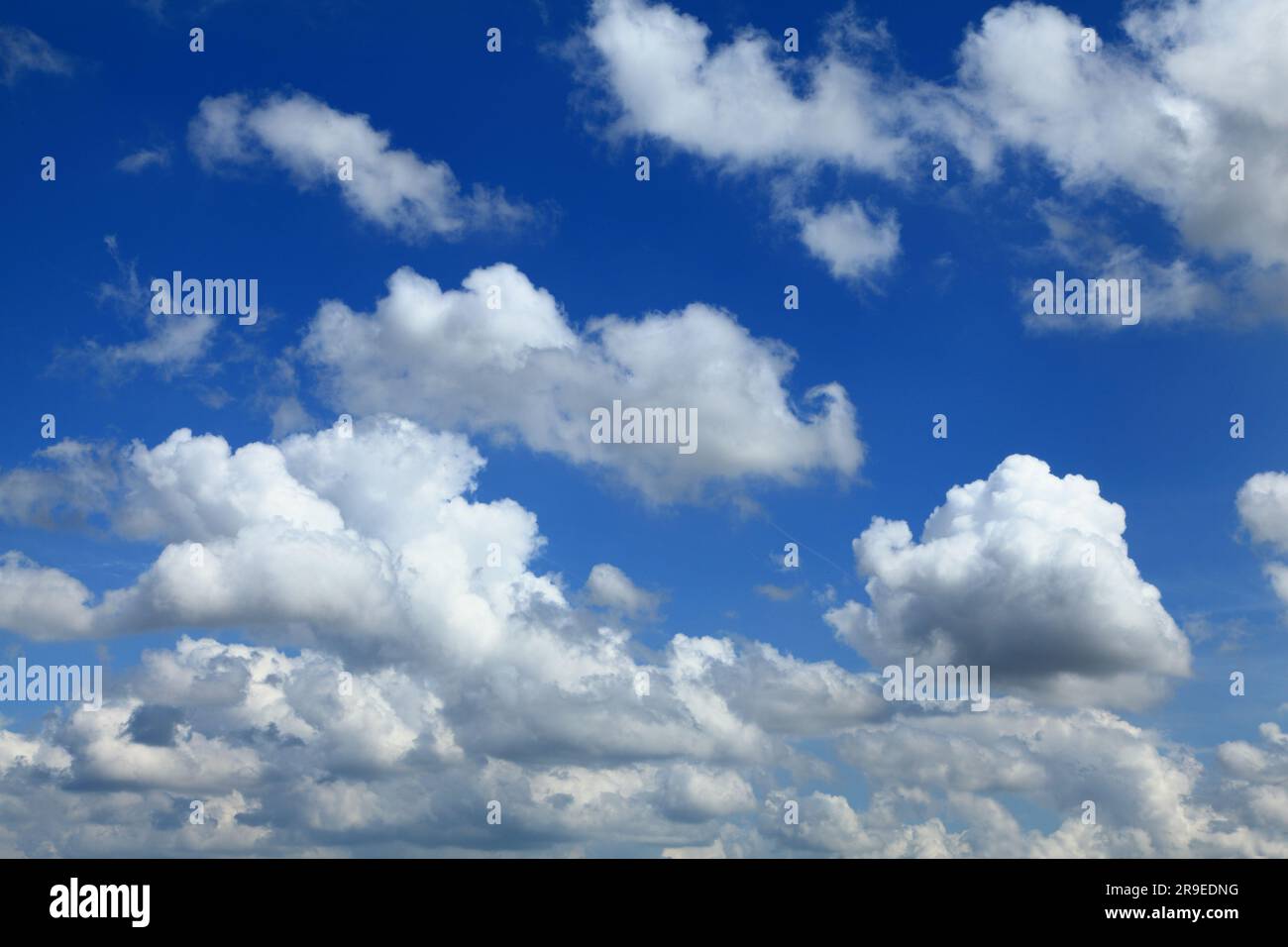 Cumulus Clouds, Blue Sky, Norfolk, England, Großbritannien Stockfoto