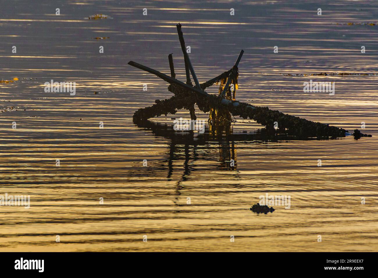 Weit entfernte Schiffsreste im Beagle-Kanal, ushuaia, tierra del fuego, argentinien Stockfoto