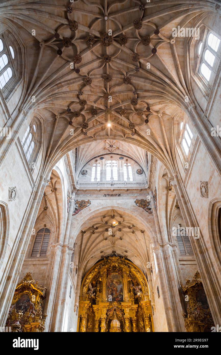 Details aus dem Inneren von St. Stephanskirche im Kloster von Duenas in Salamanca, Spanien. Stockfoto