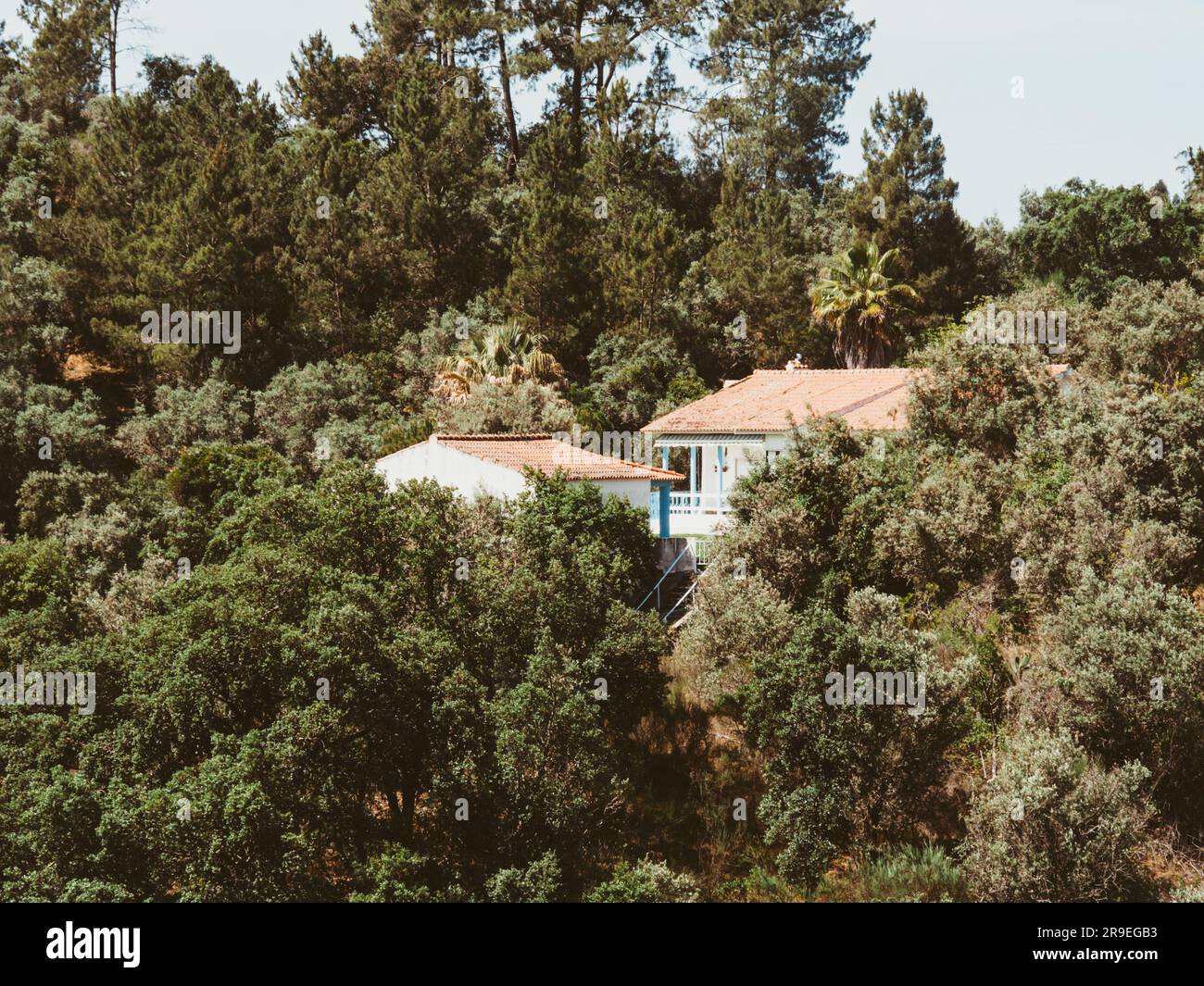 Weißes Steinhaus auf einem Hügel, umgeben von Bäumen. Traditionelles gefliestes Dachhaus in einer ruhigen Waldlandschaft, Portugal Stockfoto