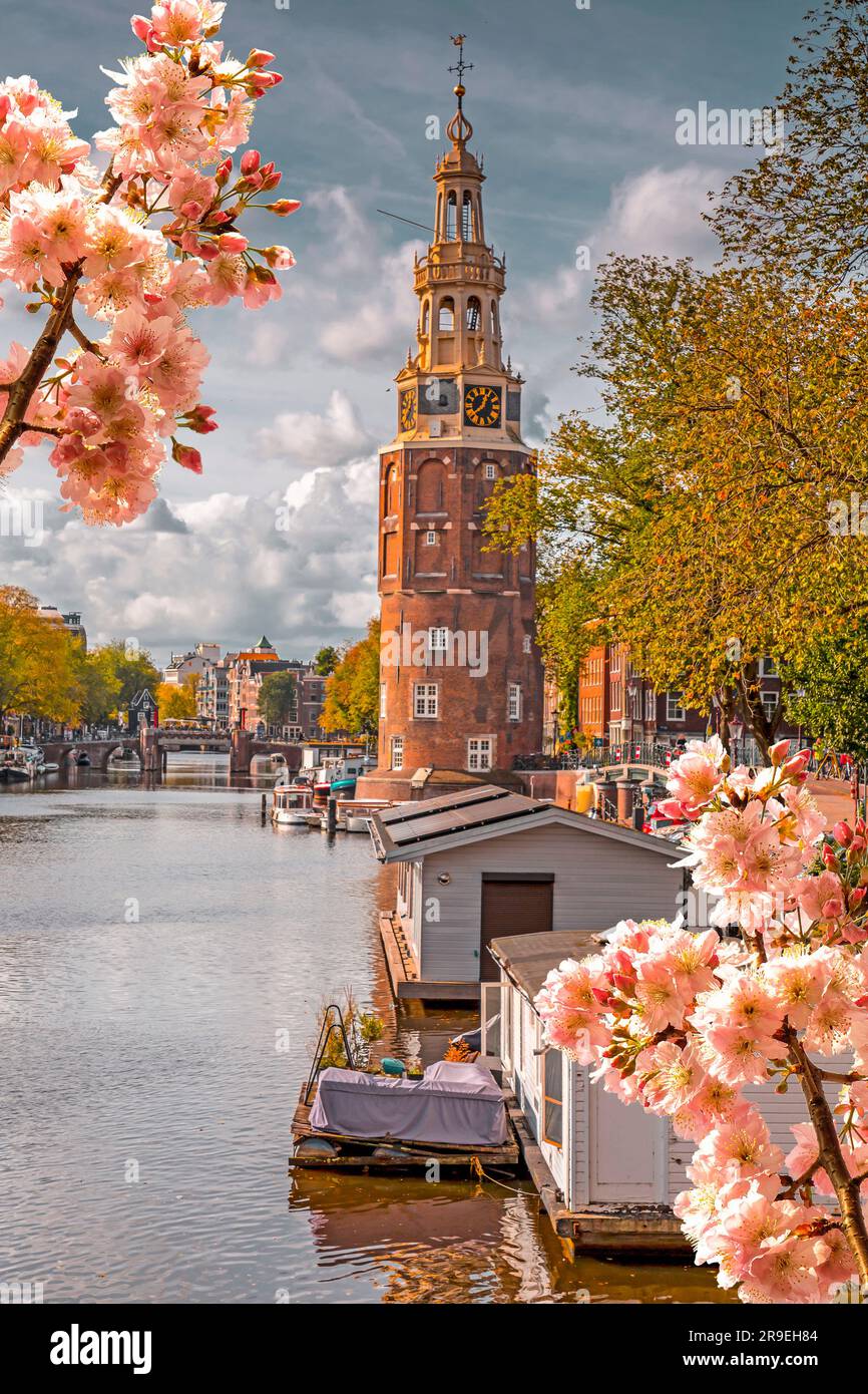 Der Montelbaanstoren-Turm auf dem Oudeschans-Kanal in Amsterdam, Niederlande, erbaut im Jahr 1516, um die Stadt zu verteidigen. Stockfoto