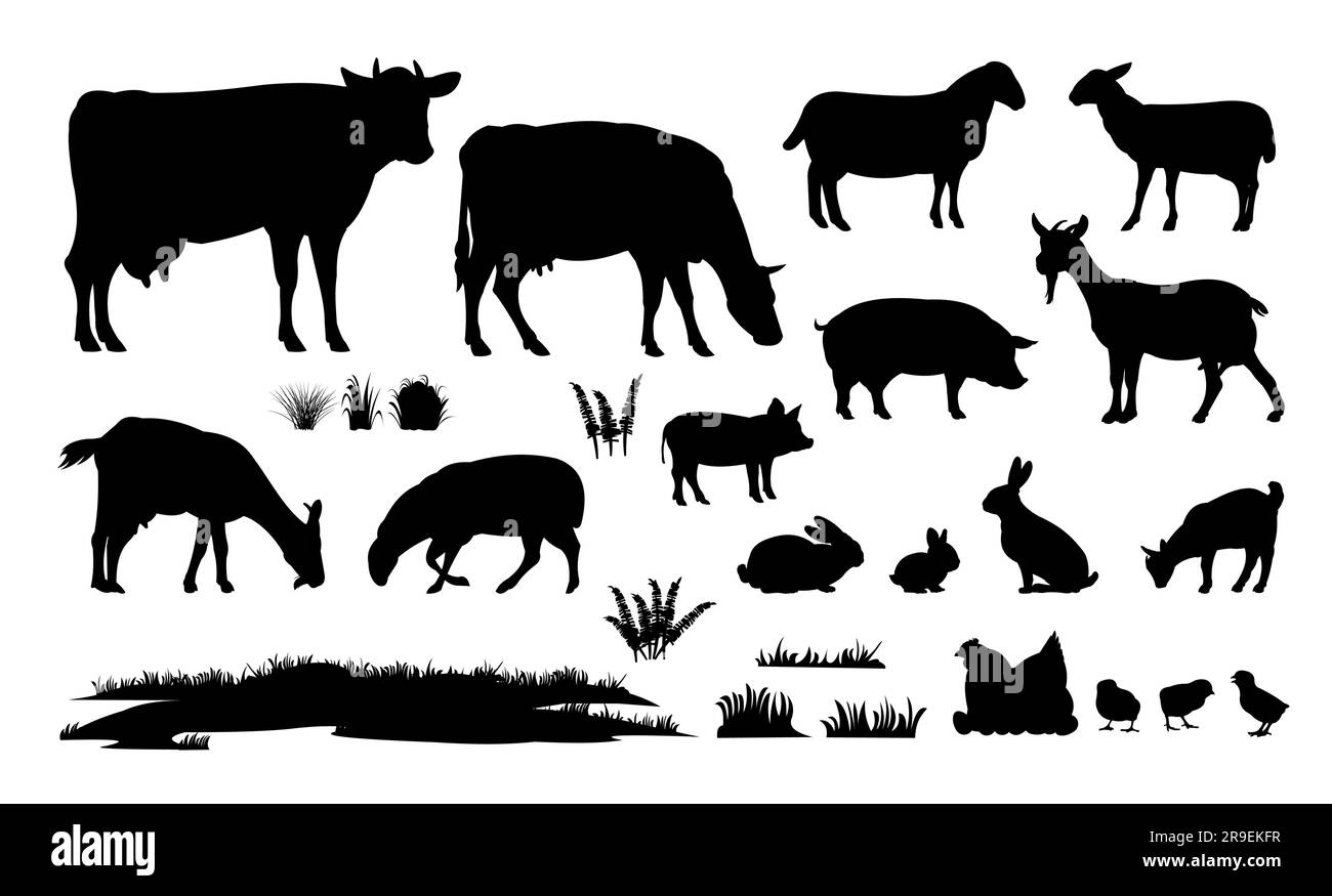 Verschiedene Haustiere auf dem Land. Haustierfarmer. Schwarze Silhouette auf weißem Hintergrund isoliert. Vektor Stock Vektor