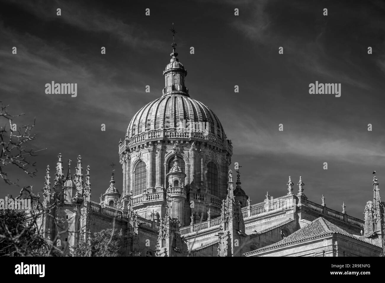 Die Neue Kathedrale, Catedral Nueva, ist eine der beiden Kathedralen von Salamanca. Zwischen dem 16. Und 18. Jahrhundert im gotischen und barocken Stil erbaut Stockfoto