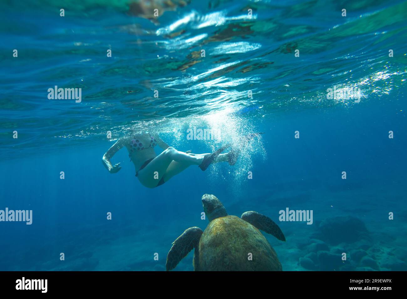Frau, die mit einer Meeresschildkröte Caretta im Meer von Foneas Beach, Mani Halbinsel, Griechenland schnorchelt. Wassersportaktivität. Sommerferien. Schnorchler Stockfoto