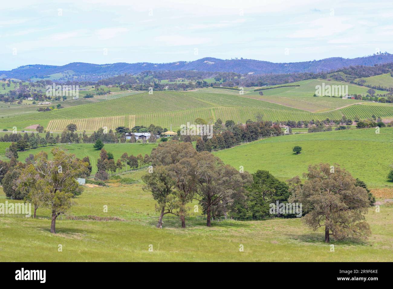 Die wunderschöne Landschaft des Yarra Valley in Victoria, Australien. Stockfoto