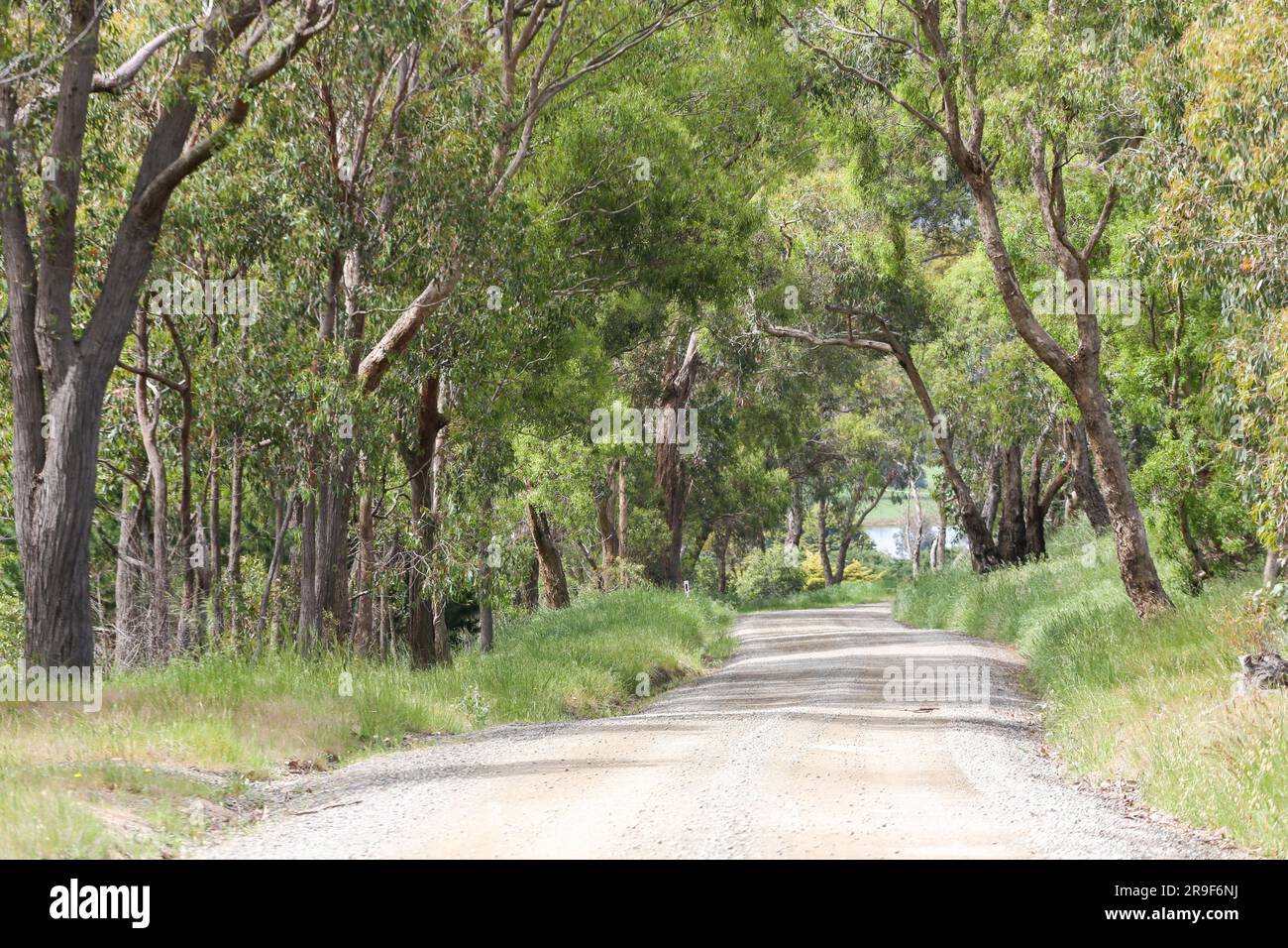 Eine wunderschöne Landstraße im Yarra Valley, Victoria, Australien Stockfoto