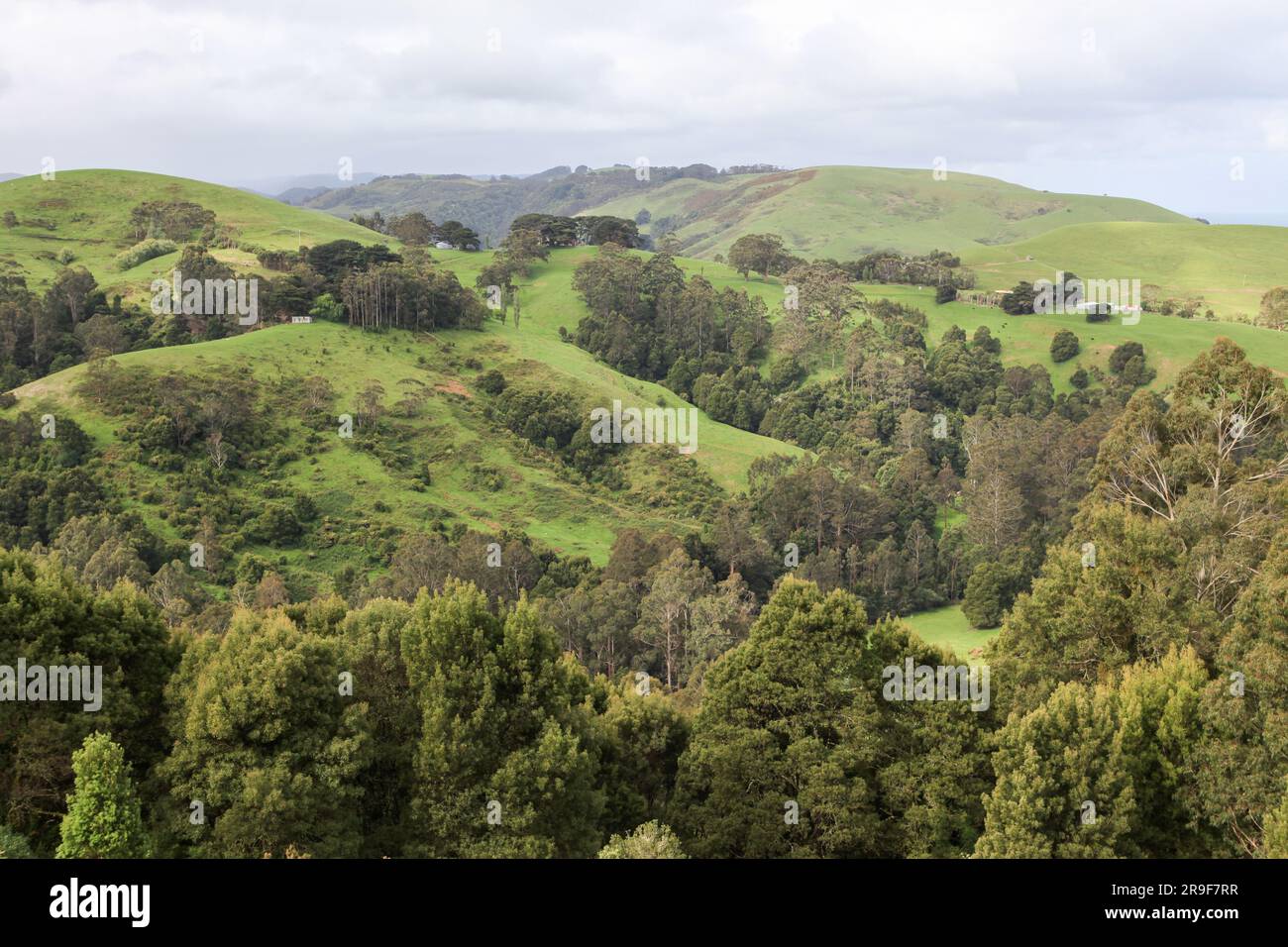 Wunderschöne Landschaft im Yarra Valley, Victoria, Australien Stockfoto