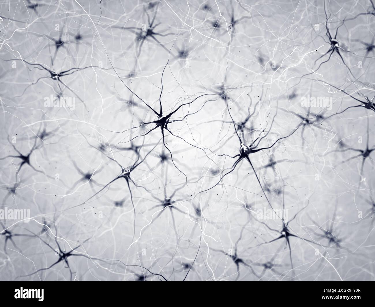 Neurone oder Nervenzellen. Die Neuronen übertragen Informationen zwischen verschiedenen Teilen des Gehirns Stockfoto