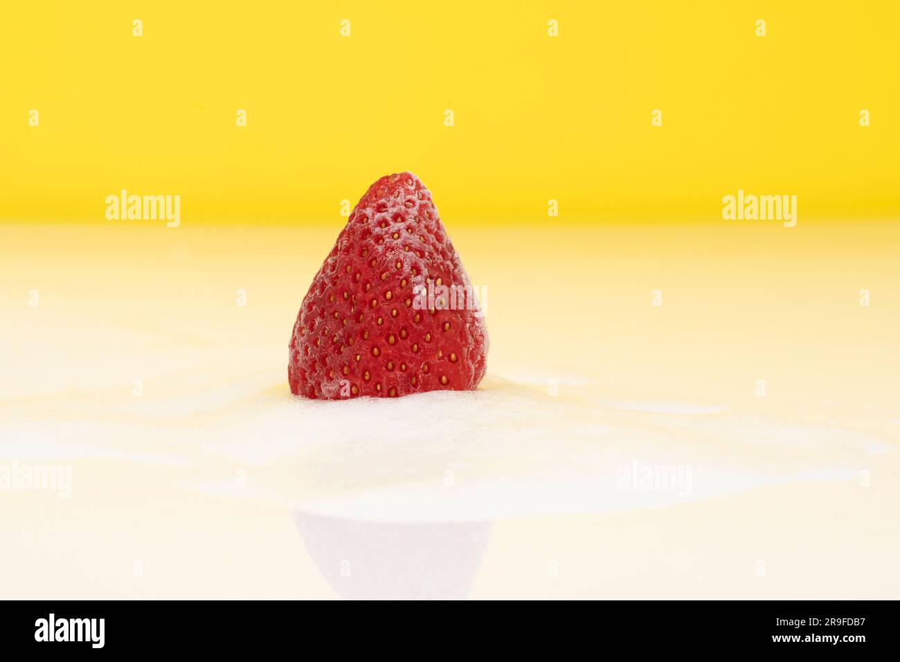 Eine frische Erdbeere auf einem Bett mit weißem Zucker auf gelbem Hintergrund Stockfoto