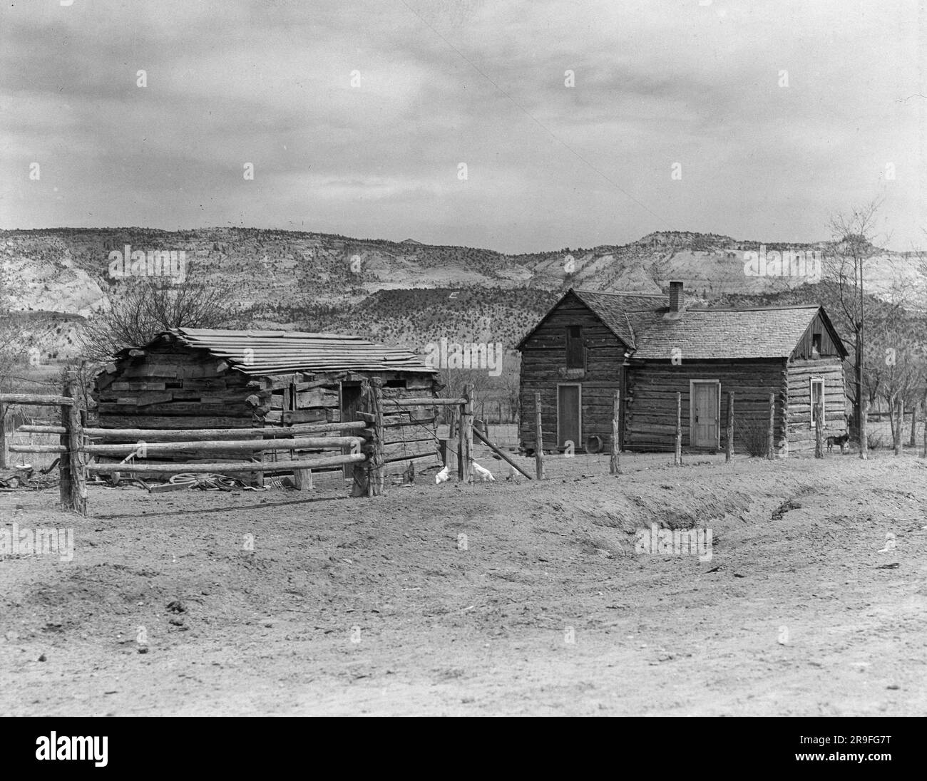 Die Fotografin Dorothea lange fotografiert Amerika während und nach der Großen Depression für die Farm Security Administration (FSA). Foto von Dorothea lange Stockfoto Die Fotografin Dorothea lange fotografiert Amerika während und nach der Großen Depression für die Farm Security Administration (FSA). Foto von Dorothea lange Stockfoto