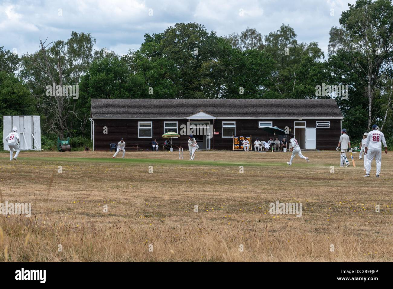 Cricket-Spiel im Dorf Thursley in Surrey, England, Großbritannien Stockfoto