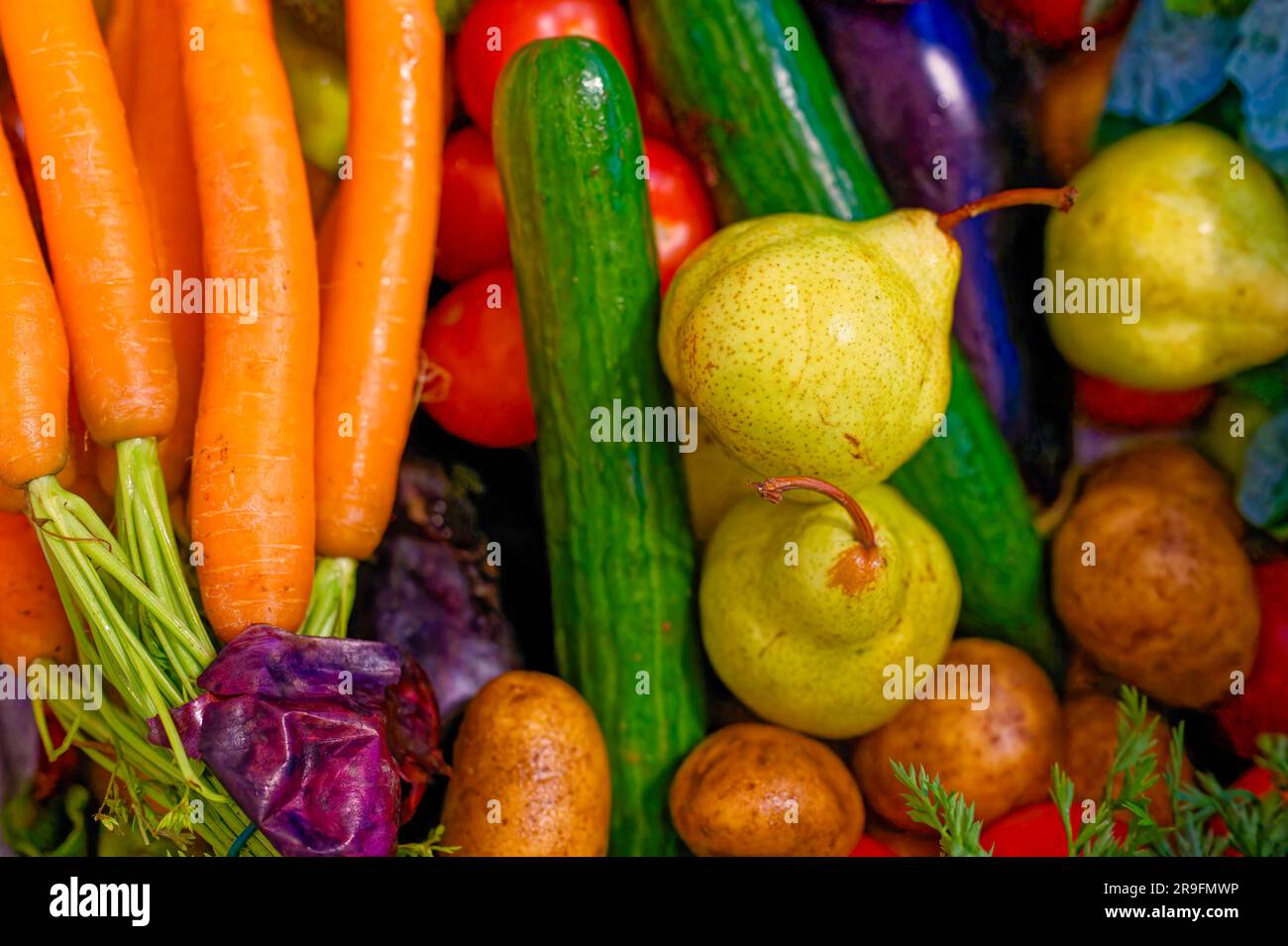 Verschiedene frische Zutaten zum Kochen wie Kartoffeln, Karotten, Tomaten und Gurken. Stockfoto