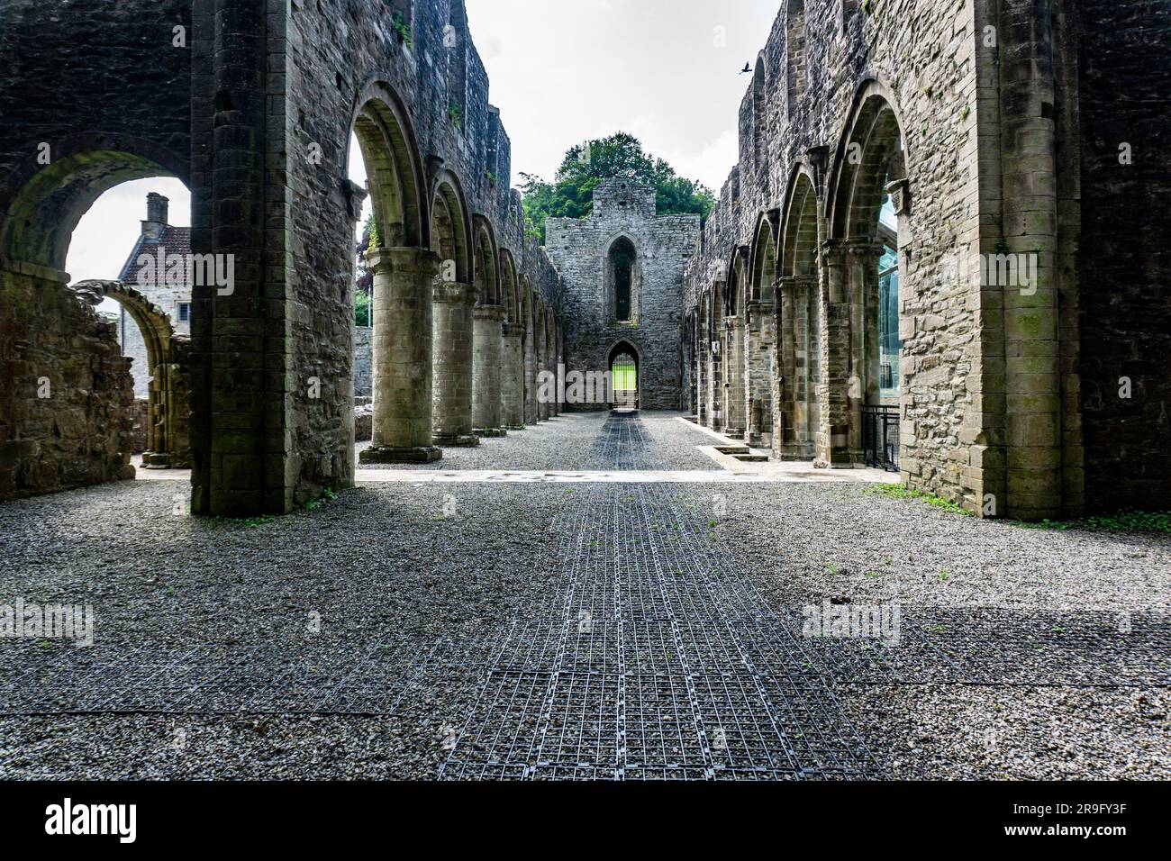 Die Ruinen der alten Zisterzienserabtei in Boyle, County Roscommon, Irland. Gegründet im 12. Jahrhundert, Stockfoto