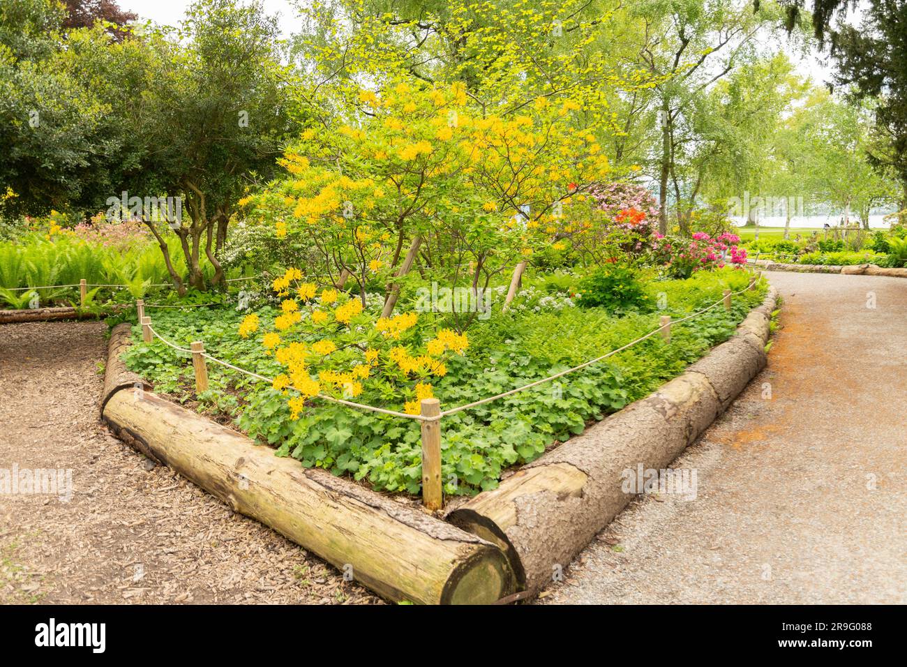 Zürich, Schweiz, 9. Mai 2023 hübscher grüner Park am Seeufer in der Nähe des Stadtzentrums Stockfoto