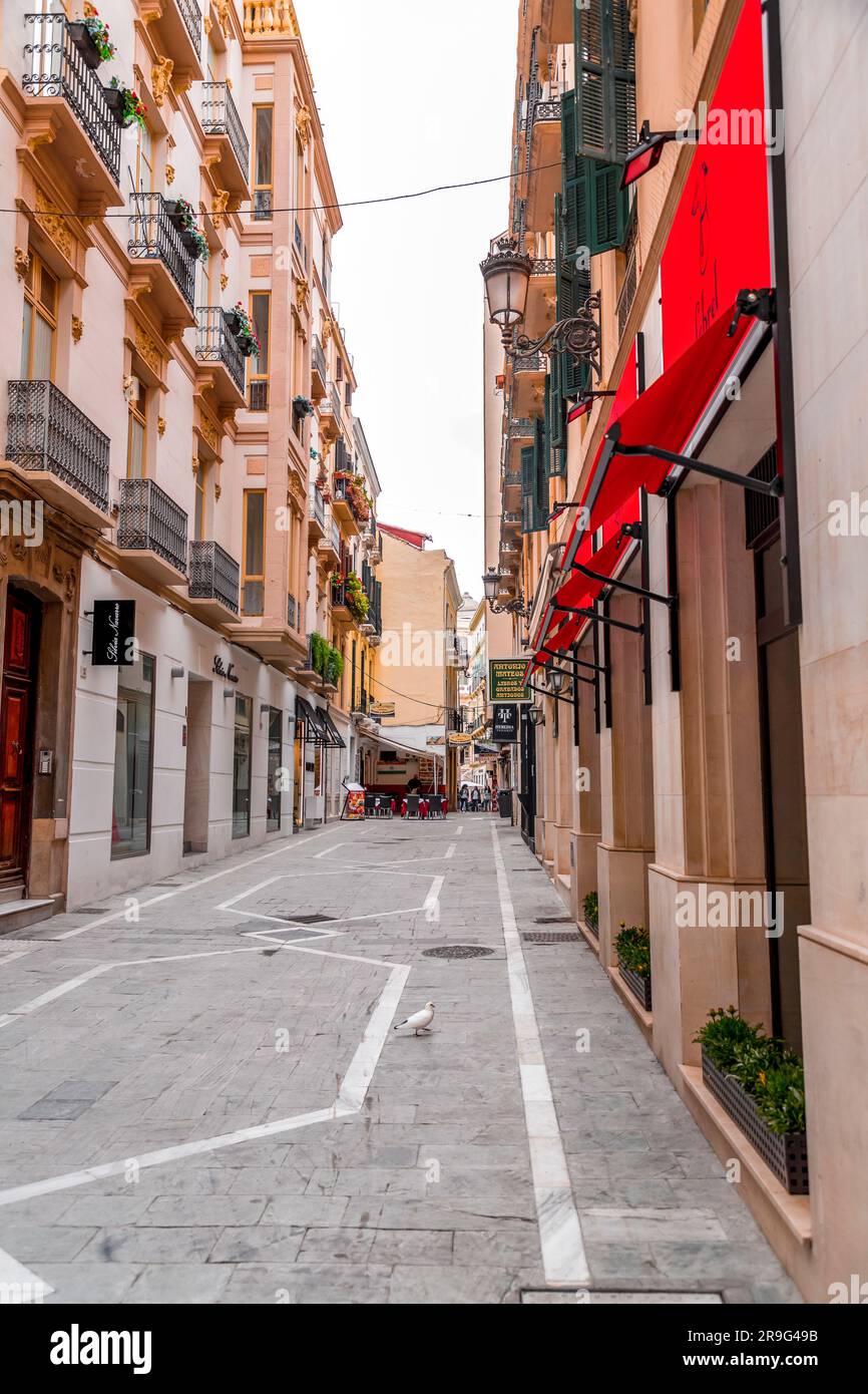 Malaga, Spanien - 27. FEBRUAR 2022: Blick auf die Straße und allgemeine Architektur in Malaga, Andalusien, Spanien. Stockfoto