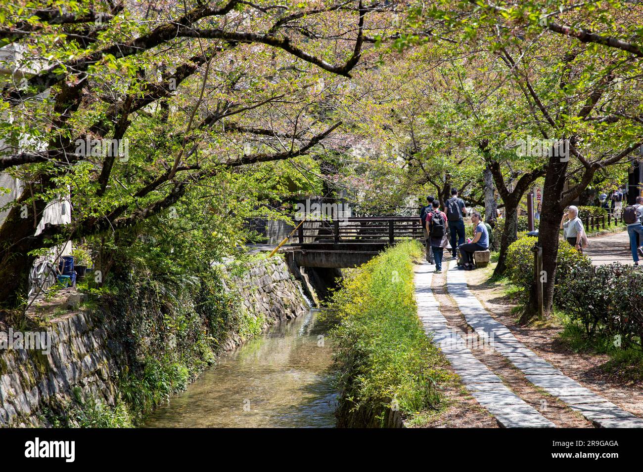 Die Philosophen gehen in Kyoto, Japan an einem Frühlingstag im Jahr 2023, Asien ist ein beliebter Pfad für Menschen, um zu Fuß zu gehen und Kirschblüten zu sehen Stockfoto