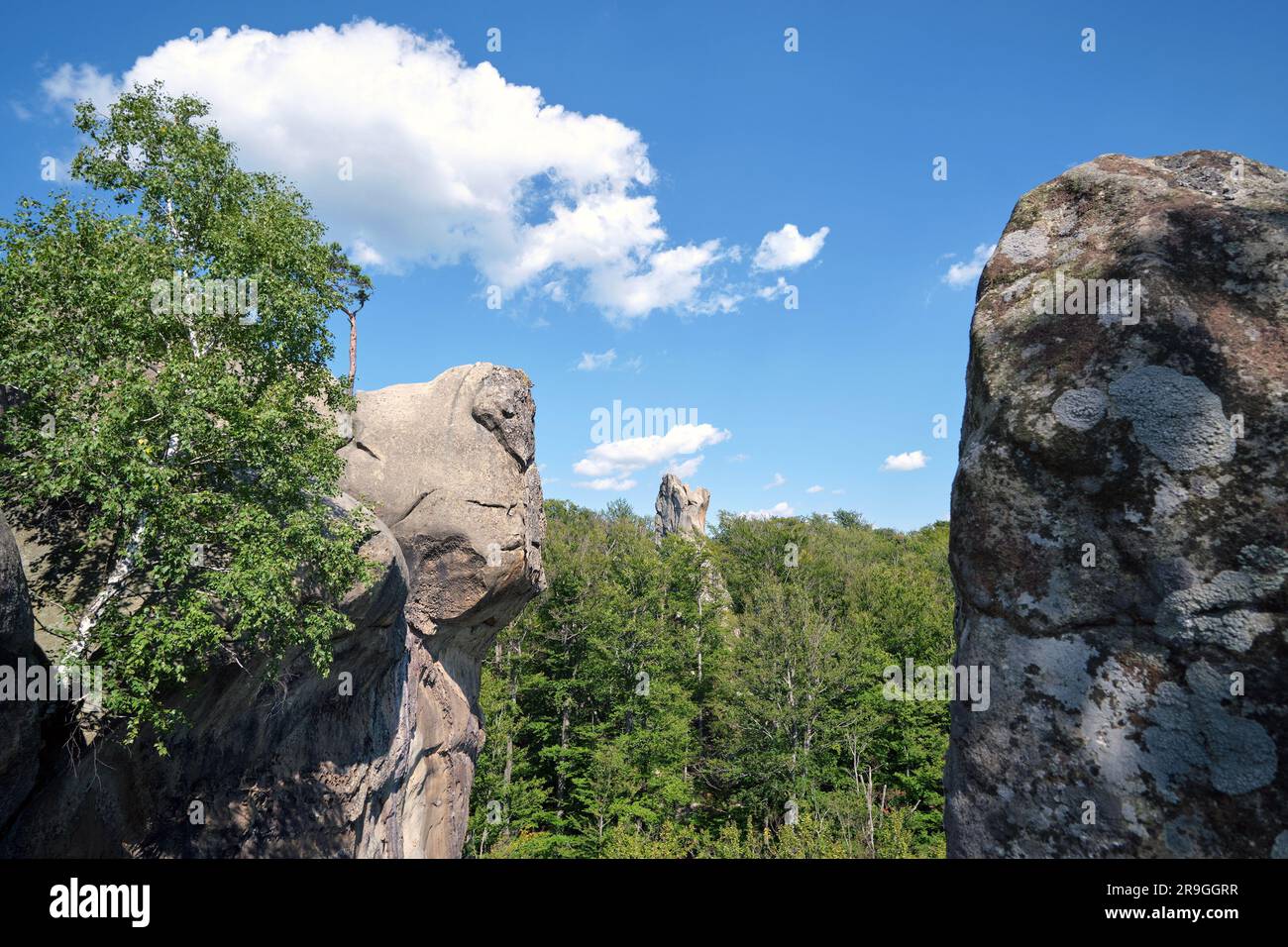 Riesige Felsformationen hoch in den Bergen mit wachsenden Bäumen an sonnigen Sommertagen. Stockfoto