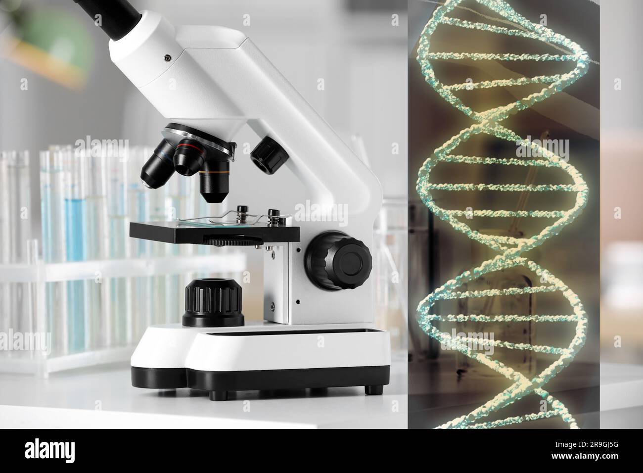 Gentests. Mikroskop und Darstellung der DNS-Struktur im Labor Stockfoto