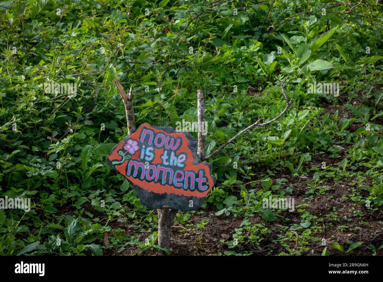 Das Schild "Jetzt ist der Moment" hängt im Garten Stockfoto