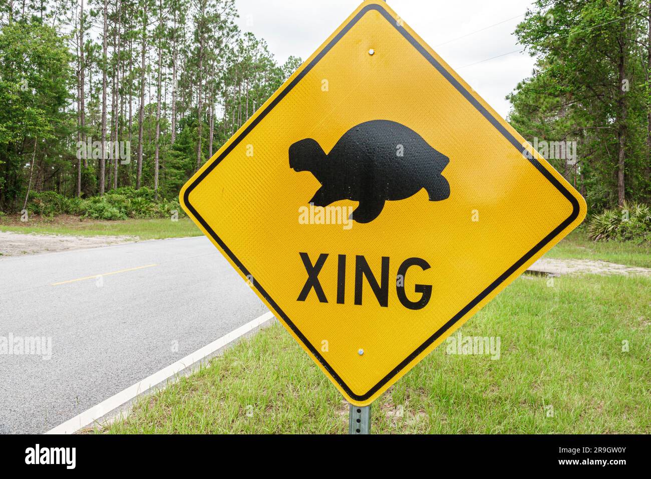 Folkston Georgia, Okefenokee National Wildlife Refuge Sumpf, Schildkröten Überquerung Schild Warnung Stockfoto