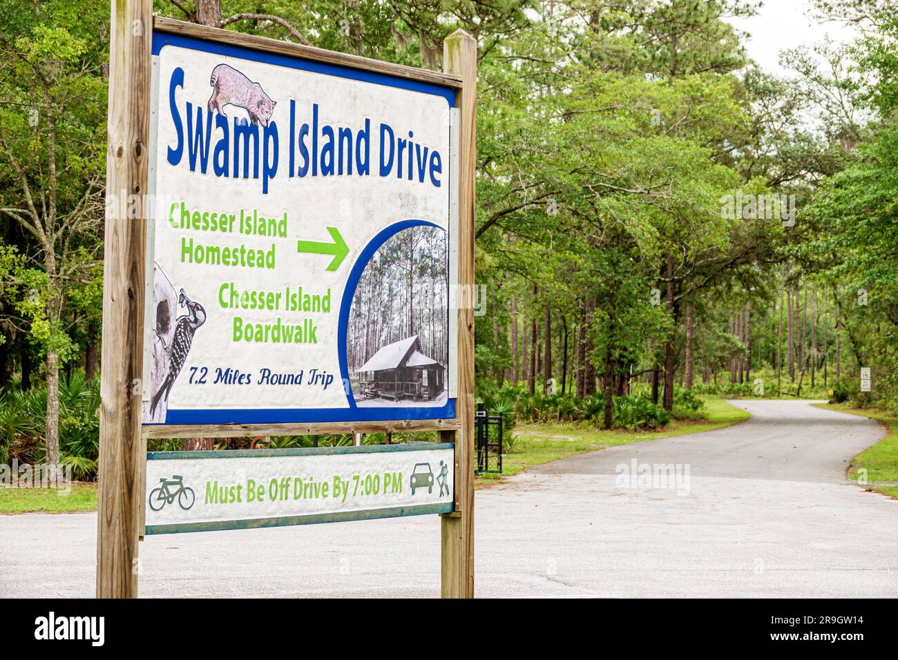 Folkston Georgia, Okefenokee National Wildlife Refuge Sumpf, Swamp Island Drive, selbstgeführte Fahrt durch die Natur Stockfoto