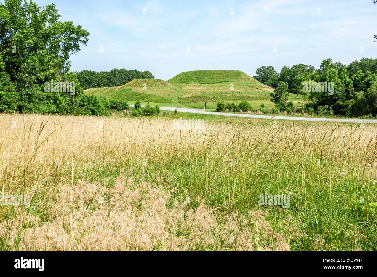 Macon Georgia, Ocmulgee Mounds National Historic Park, Begräbnishügel, angestammte Heimat der Muscogee Creek Nation, Wiesen Gras Bäume, historische Stätte Stockfoto
