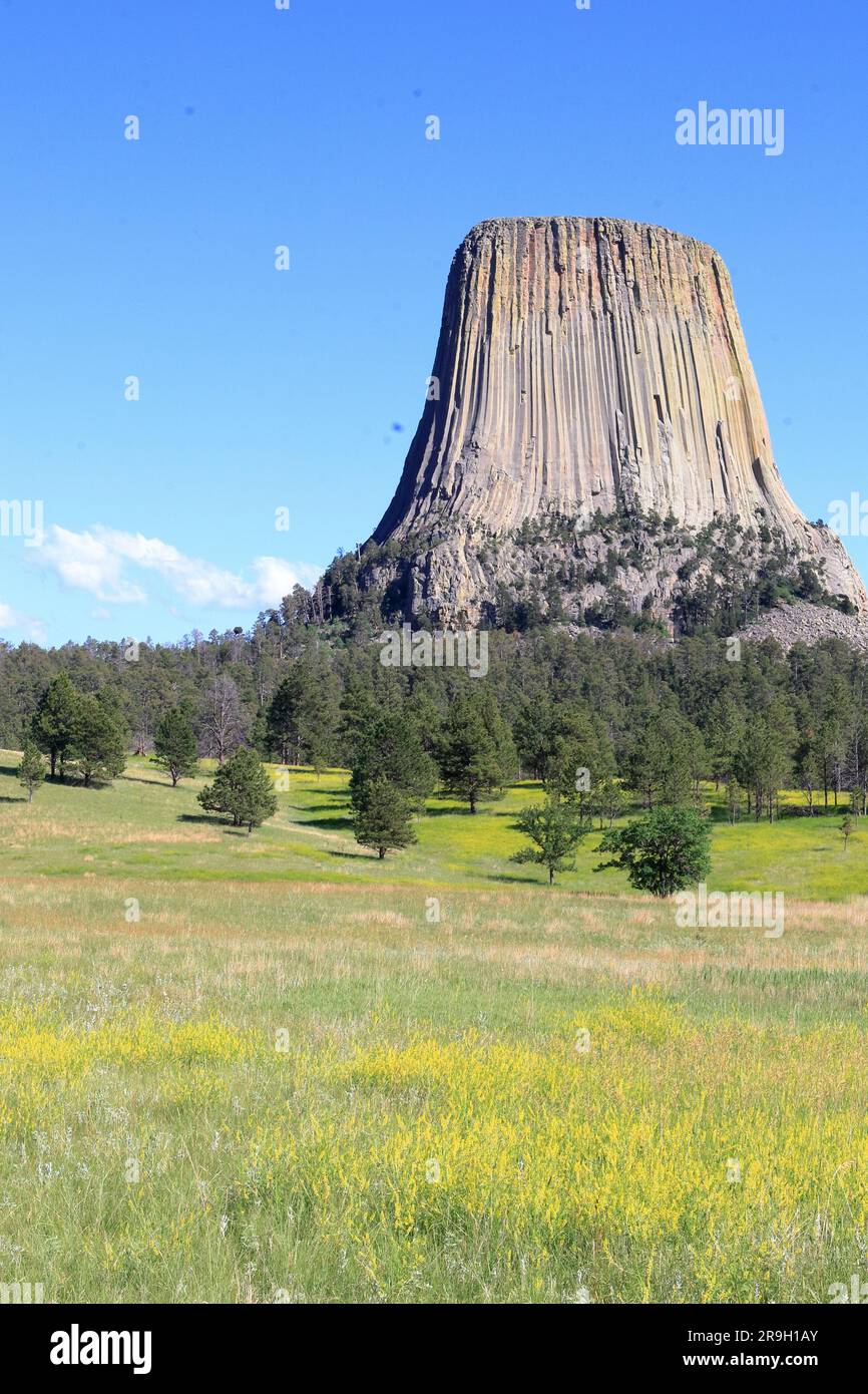 Devil's Tower in Wyoming Stockfoto