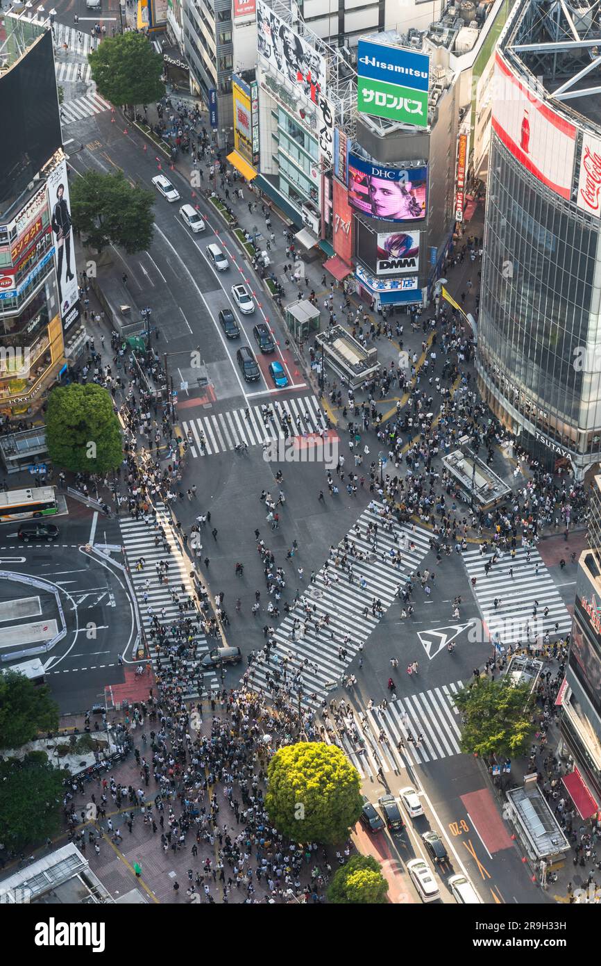 Tokio, Japan - Mai 04 2023: Luftaufnahme der Menschen bei einem Spaziergang durch die berühmte Shibuya-Kreuzung in Tokio, japanische Hauptstadt Stockfoto