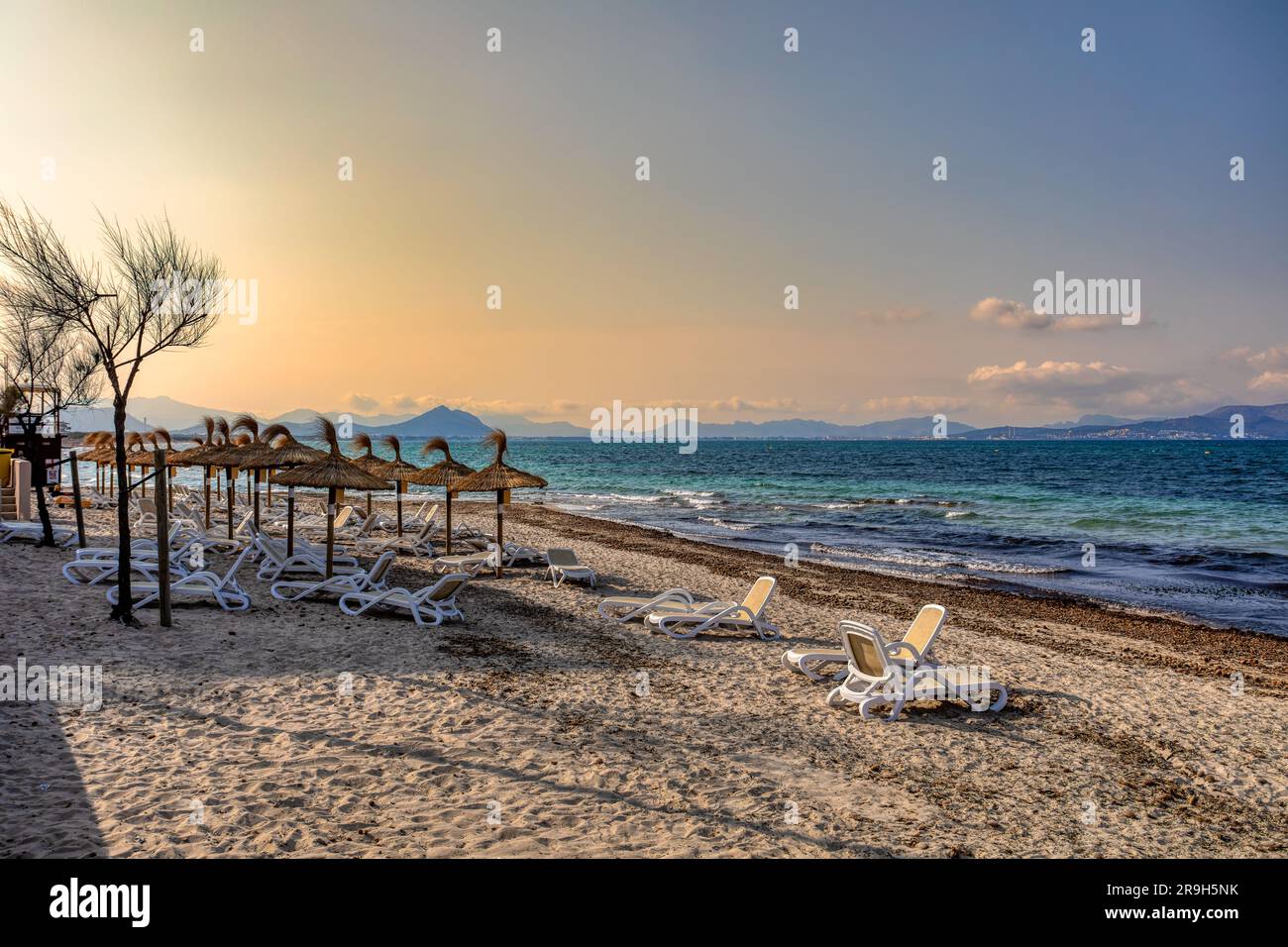 Can Picafort Beach mit Strohschirmen und Sonnenliegen, morgens ohne Leute, am türkisfarbenen Meer. Can Picafort, Balearen Mallorca S. Stockfoto