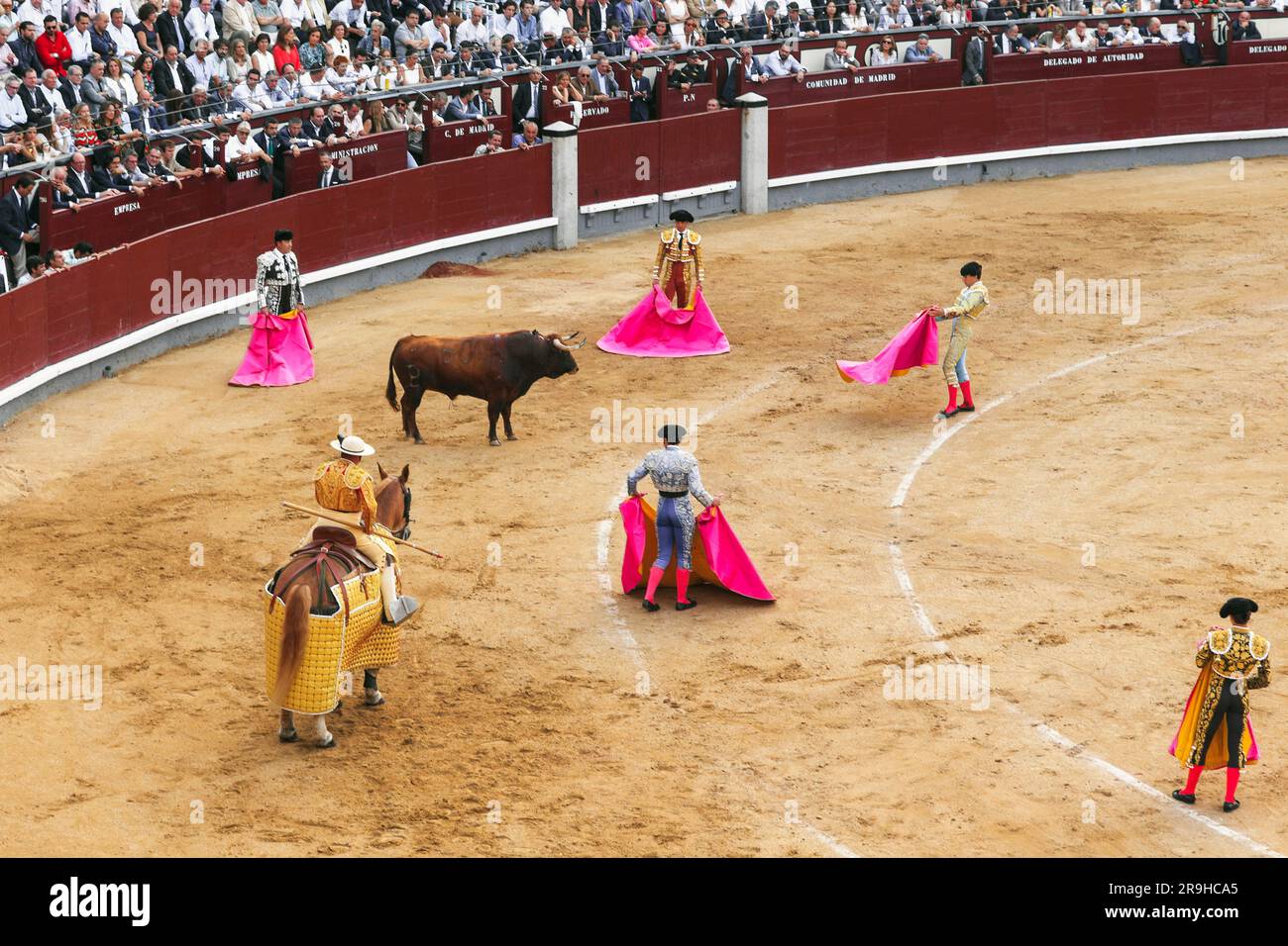 MADRID, SPANIEN - 25. MAI 2017: Dies ist das erste Drittel des Stierkampfs: Der Test des Umhangs und die Produktion des Picadors. Stockfoto