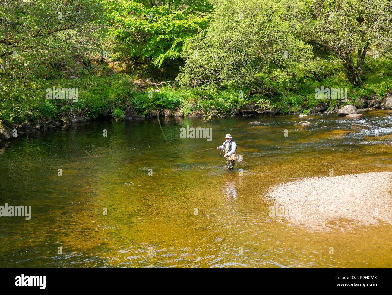 Man Fly Fishing Stand in West Dart River, Hexworthy, Dartmoor Nationalpark, Devon, England, UK Stockfoto