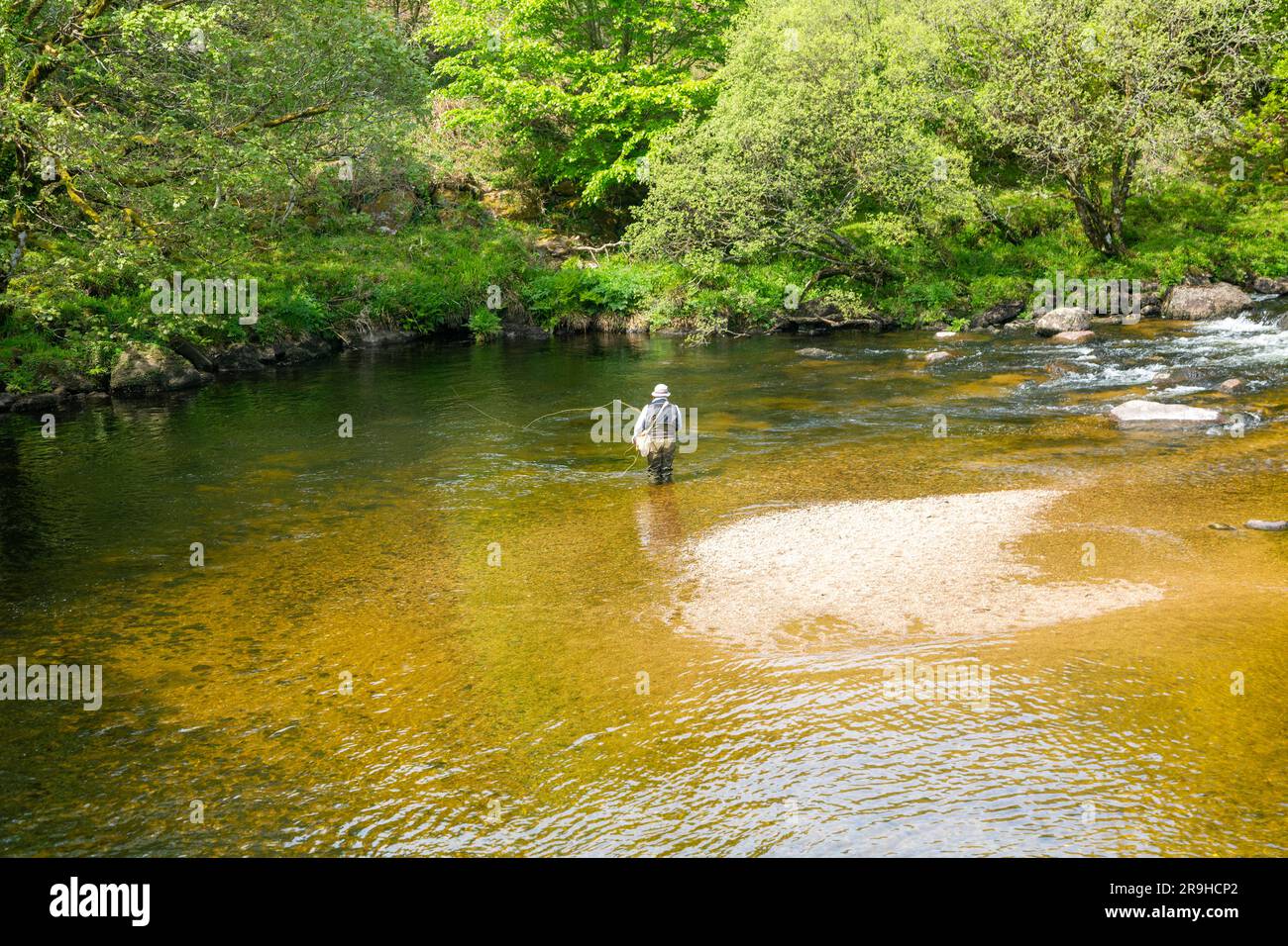 Man Fly Fishing Stand in West Dart River, Hexworthy, Dartmoor Nationalpark, Devon, England, UK Stockfoto