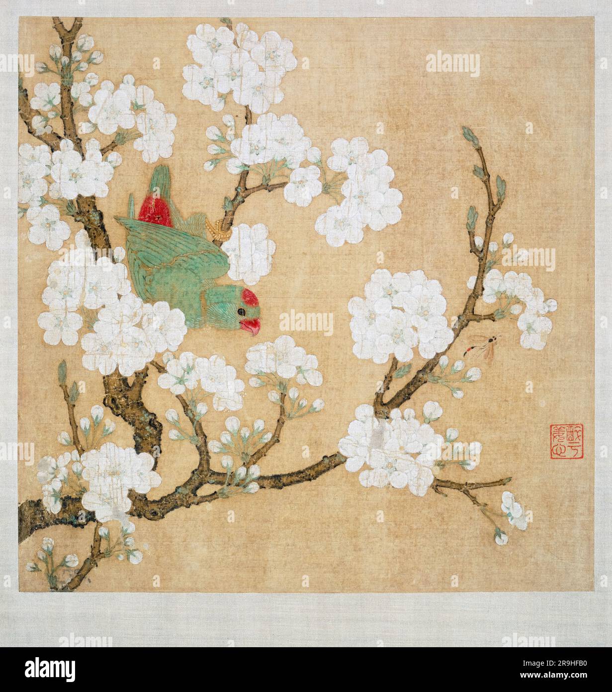 Chinesischer Künstler aus dem 13. Jahrhundert, Papagei und Insekt zwischen Birnenblüten, Tinte und Farbe auf Seide, Malerei, 1250-1299 Stockfoto