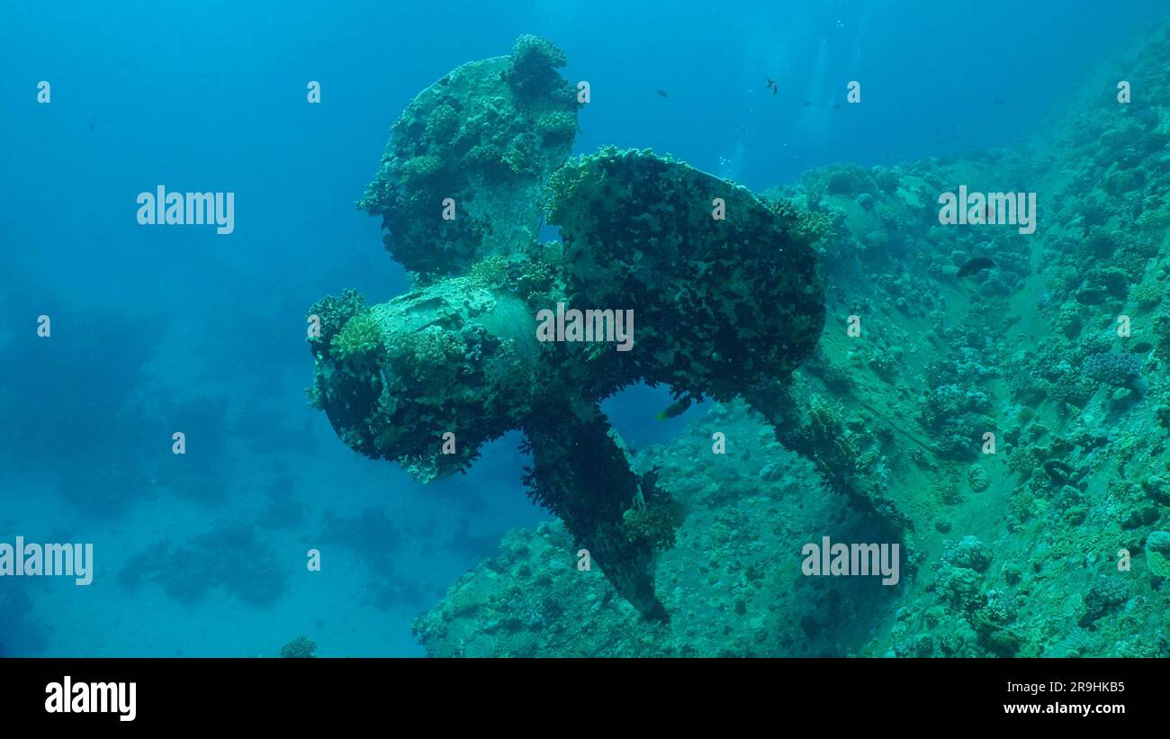 Propeller der Fähre Salem Express Schiffswrack, Rotes Meer, Safaga, Ägypten Stockfoto